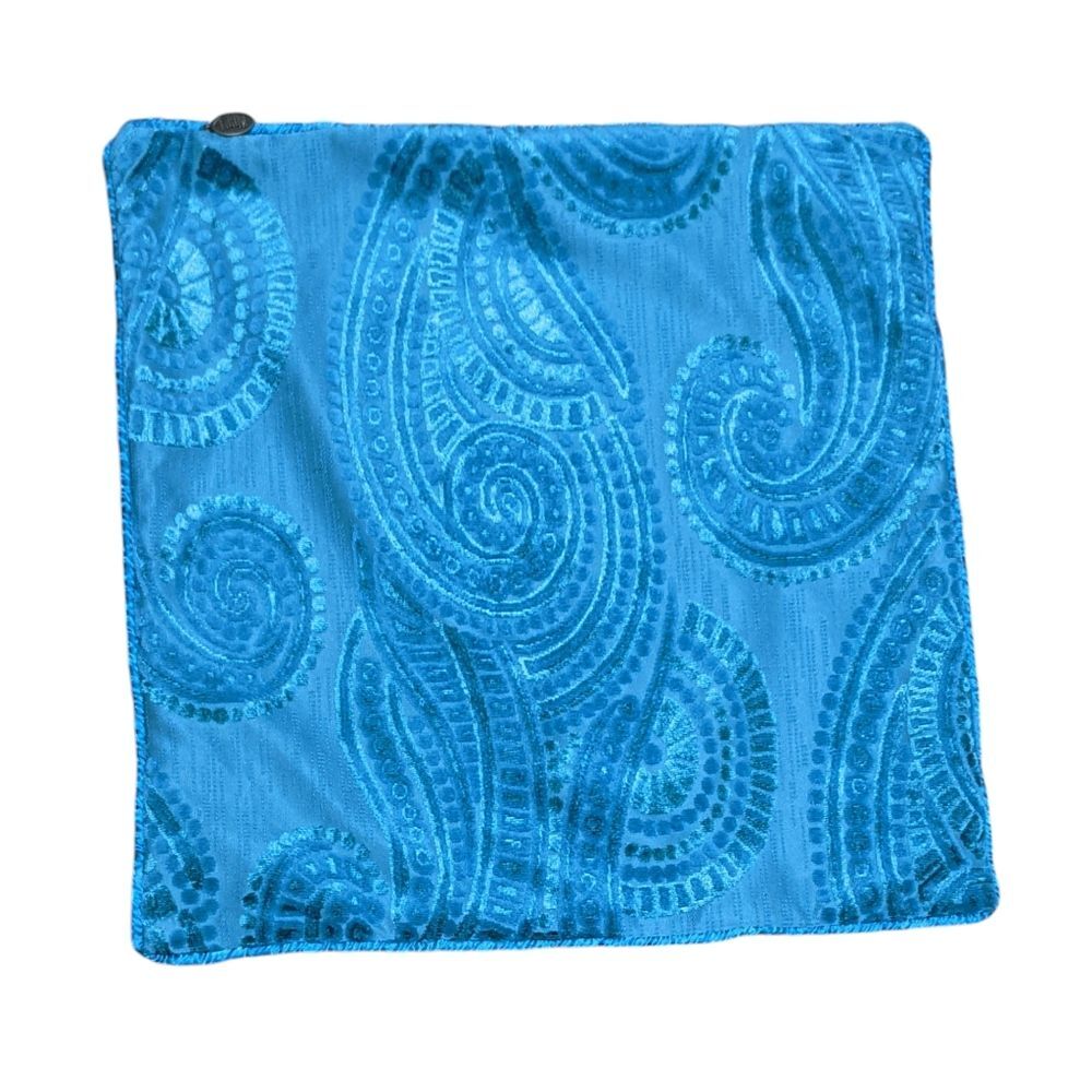 Pier 1 Imports pillow sham cover Burnout velvet paisley chenille spiral cottage